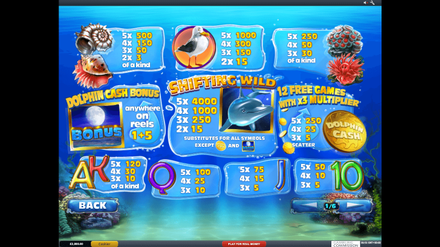 Игровой интерфейс Dolphin Cash 1