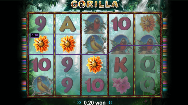 Бонусная игра Gorilla 7